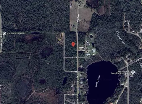 215 Royal Ave, Interlachen, FL 32148 photo 7