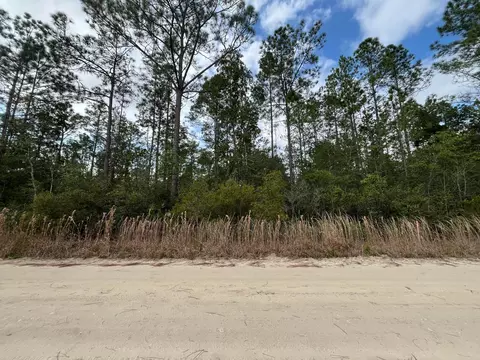 215 Royal Ave, Interlachen, FL 32148 photo 2