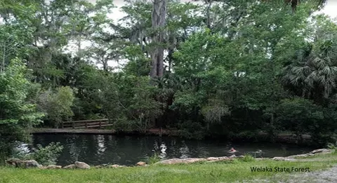 175 Park Ave, Interlachen, FL 32148 photo 2