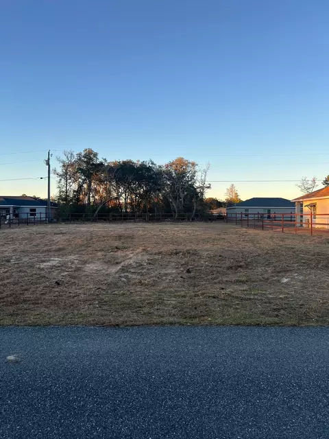 4017 SW 133rd Loop, Ocala, FL 34473 photo 5