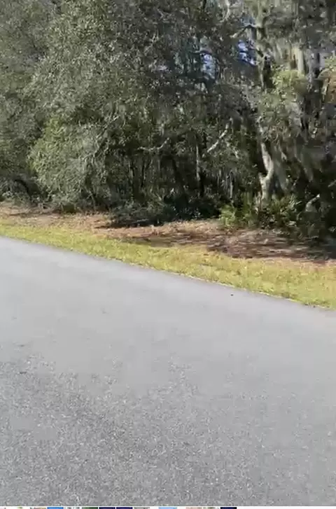 4017 SW 133rd Loop, Ocala, FL 34473 photo 3