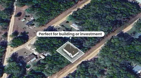 000 Wilson Dr, Interlachen, FL 32148 photo 3