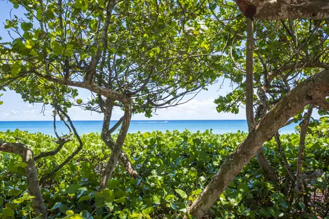 View/Area - 906 Dolphin Dr, Jupiter, FL 33458 photo 9 of 15