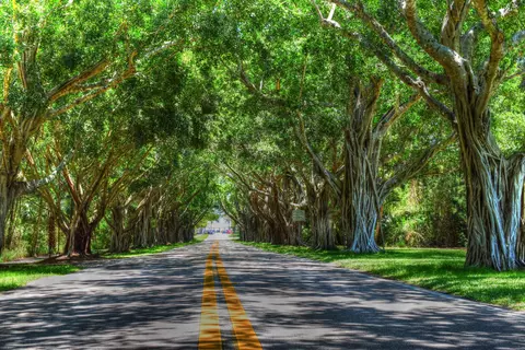 Other - 906 Dolphin Dr, Jupiter, FL 33458 photo 13 of 14