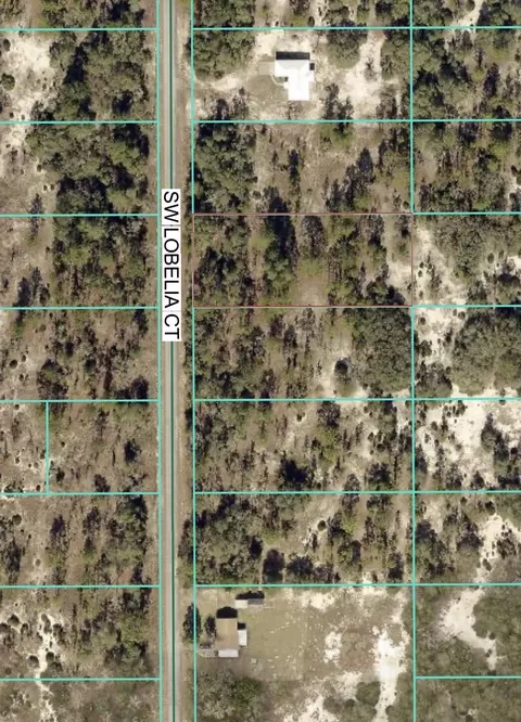 tbd SW Lot 32 Ct SW, Lobelia Court, FL 34431