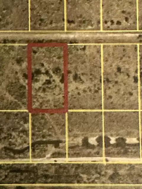 22076 NW 242nd St, Okeechobee, FL 34972