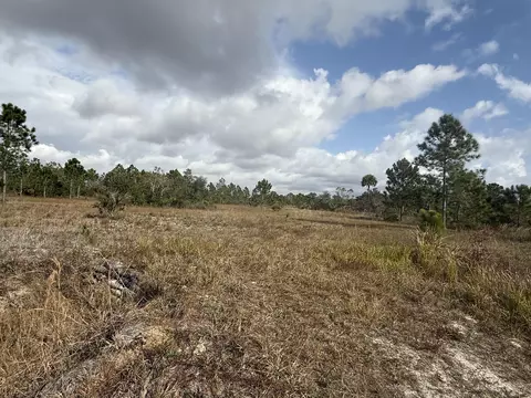 16375 NW 314th St, Okeechobee, FL 34972 photo 3