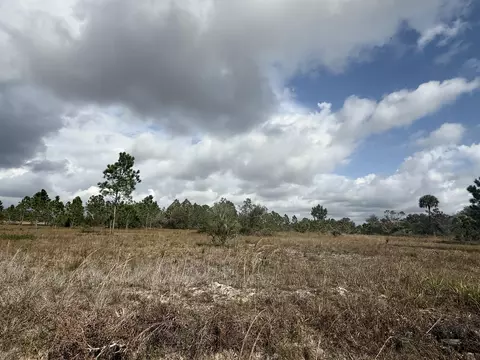 16375 NW 314th St, Okeechobee, FL 34972 photo 4