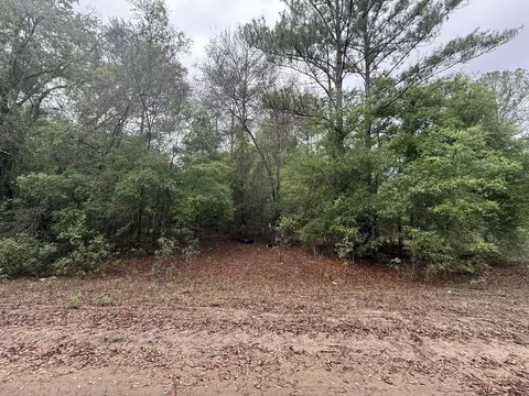 tbd Maltas Ave, Interlachen, FL 32148 photo 5