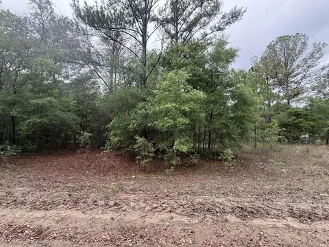 tbd Maltas Ave, Interlachen, FL 32148 photo 3