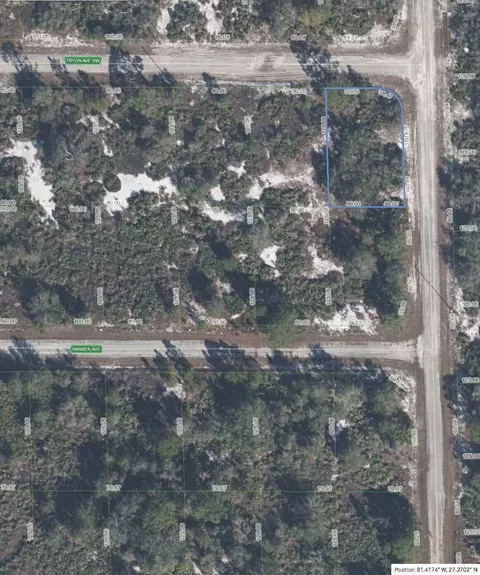 100 Tryon Ave NW, Lake Placid, FL 33852
