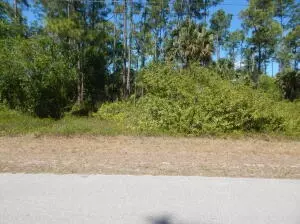 1047 Asther St E, Lehigh Acres, FL 33974