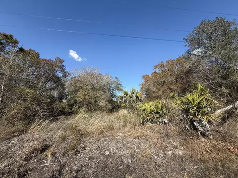 18075 NW 278th St, Okeechobee, FL 34972 photo 3