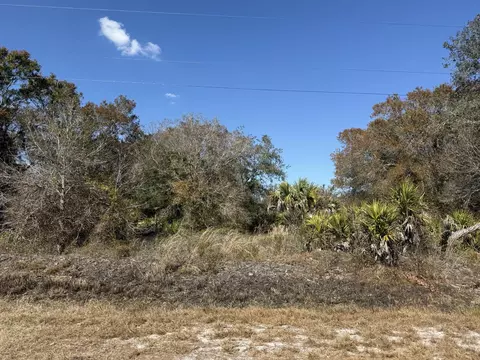 18075 NW 278th St, Okeechobee, FL 34972 photo 8