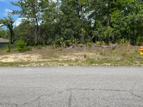 6876 N Sandborn Loop, Dunnellon, FL 34433
