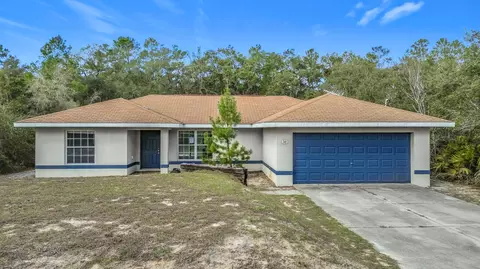 50 Malauka Pass, Ocklawaha, FL 32179