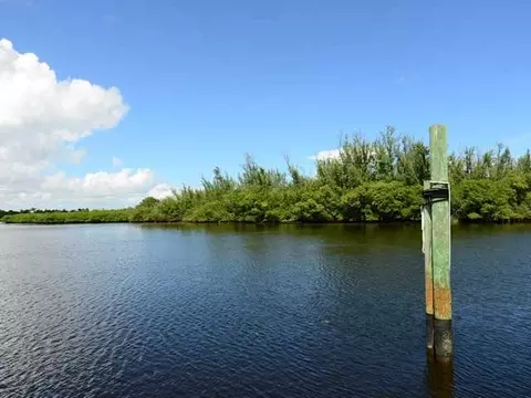 209 Elsa Rd, Jupiter, FL 33477 photo 21