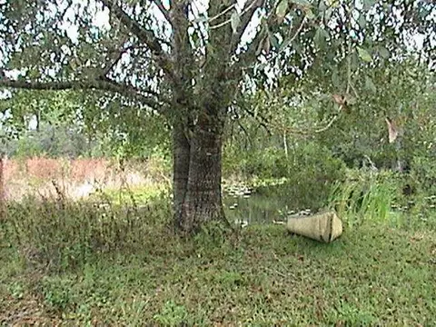 5680 Sunshine, Okeechobee, FL 34972 photo 5