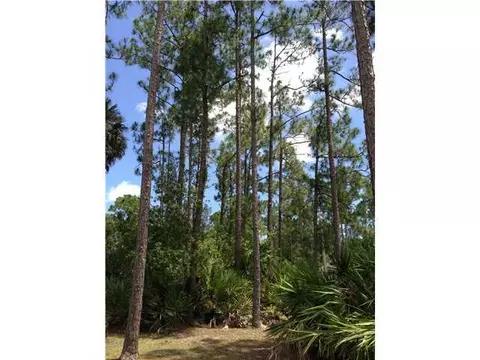 12879 Sandy Run Rd, Jupiter, FL 33478 photo 23