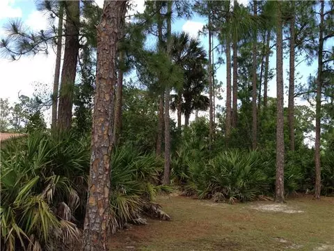 12879 Sandy Run Rd, Jupiter, FL 33478 photo 22