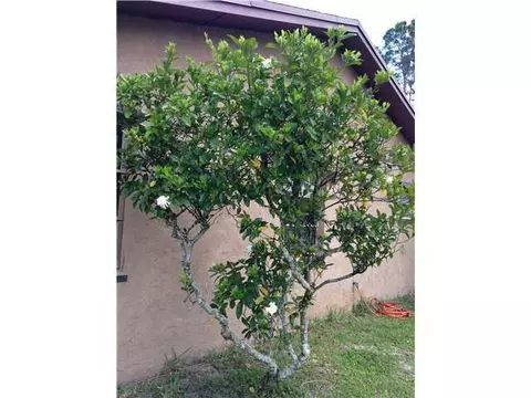 12879 Sandy Run Rd, Jupiter, FL 33478 photo 19