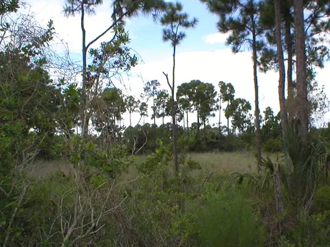 4261 SE Graham Dr, Stuart, FL 34997 photo 18