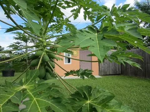 2327 SE Harrison St, Stuart, FL 34997 photo 22