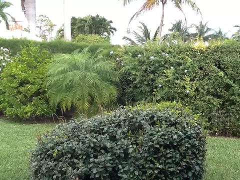 461 Forestview Dr, Atlantis, FL 33462 photo 24
