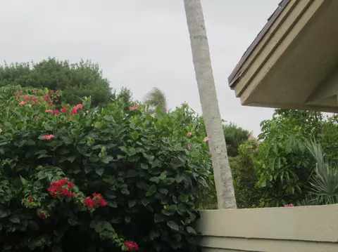 128 Sand Pine Dr, Jupiter, FL 33477 photo 54