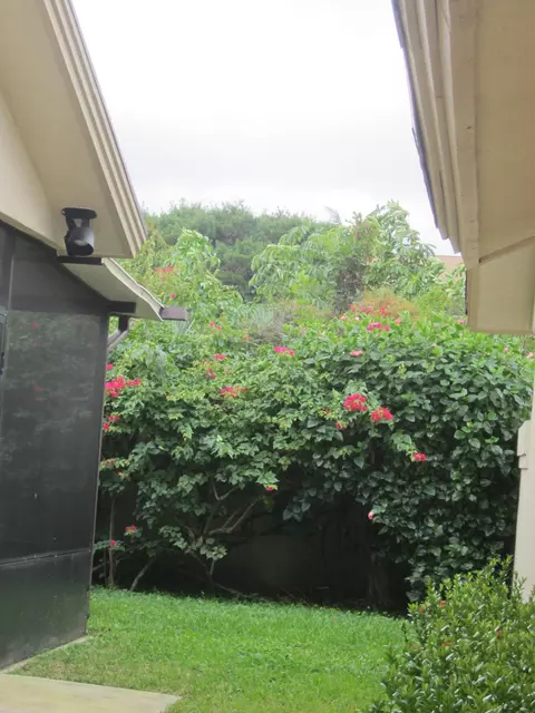 128 Sand Pine Dr, Jupiter, FL 33477 photo 53