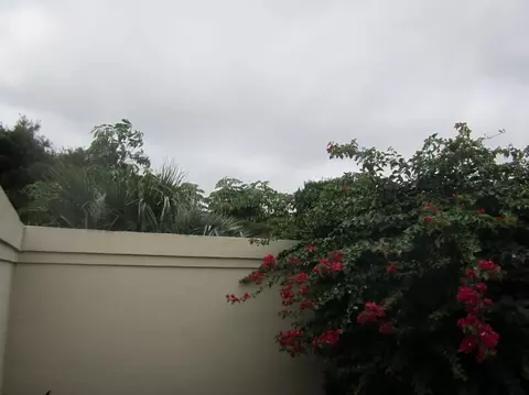 128 Sand Pine Dr, Jupiter, FL 33477 photo 55