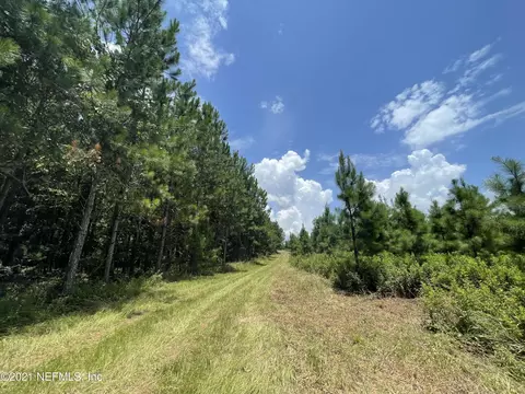 0 NE Rocky Ford Rd, Madison, FL 32340