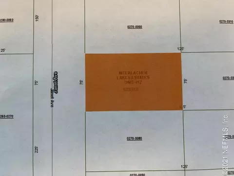 0 Janet Ave, Interlachen, FL 32148