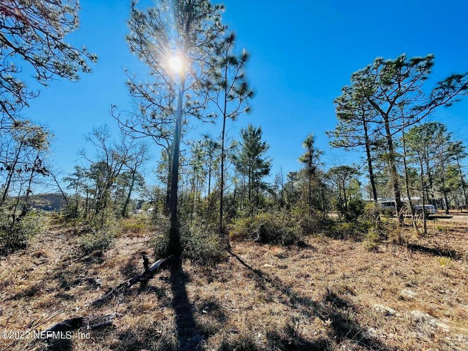 6684 Bedford Oak Dr, Keystone Heights, FL 32656 5 Photos 6684 Bedford Oak Dr, Keystone Heights, FL 32656 5 Photos
