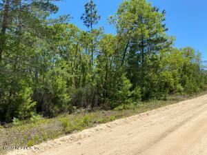Nnn Rose St, Interlachen, FL 32148