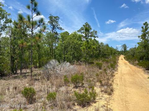 Nnn Manatee St, Interlachen, FL 32148