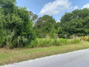 Nnn Reaves Ave, Interlachen, FL 32148