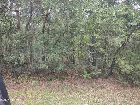 0040 Brett Ave, Interlachen, FL 32148 photo 3