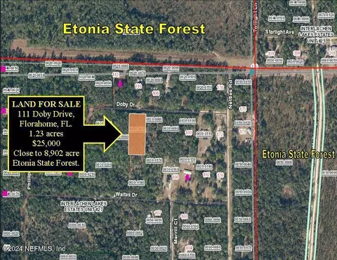 111 Doby Dr, Florahome, FL 32140