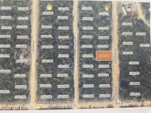 Lot 23 Theresa Ave, Interlachen, FL 32148