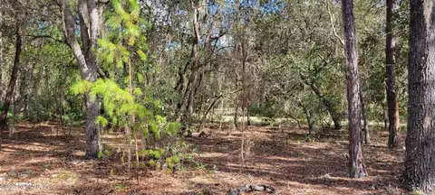 107 Linden Ave, Interlachen, FL 32148