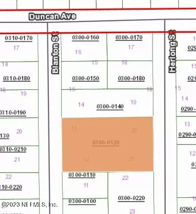 00 Blanton St, Interlachen, FL 32148