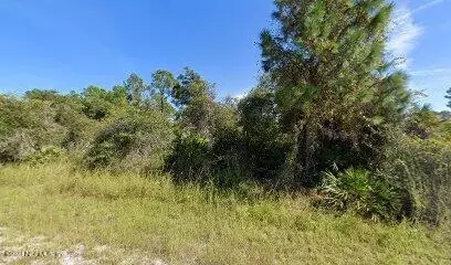 2704 Fitch Ave, Alva, FL 33920