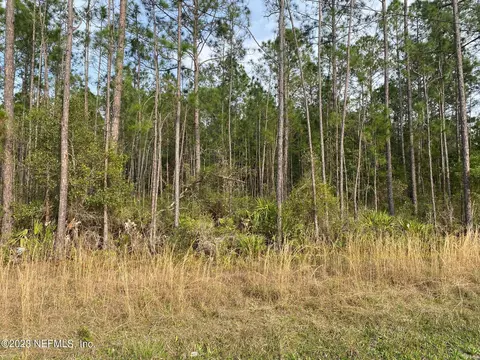 Aaa Cr 315, Interlachen, FL 32148 photo 3