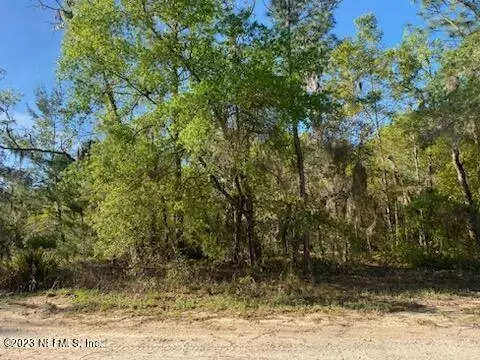 0 Unassigned Address, Florahome, FL 32140
