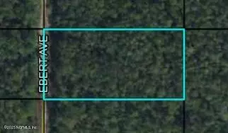 4 Ebert Ave, Hastings, FL 32145