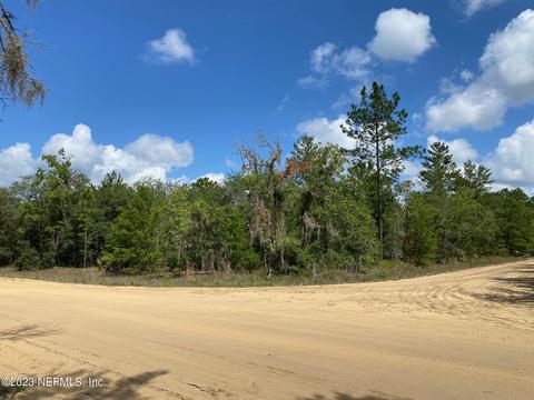 Nnn Franklin St, Interlachen, FL 32148