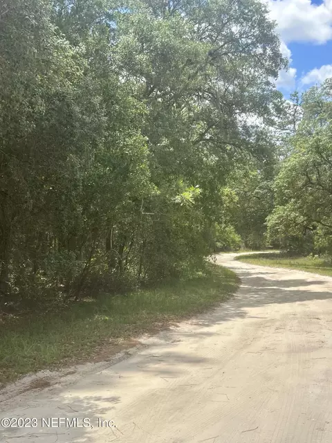 0 Unassigned Address, Interlachen, FL 32148