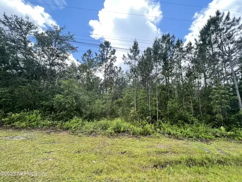 2060 Knottingham Pl, Middleburg, FL 32068