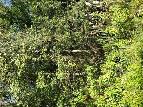 0 Lots 17 18 Interlachen Lks, Interlachen, FL 32148
